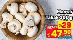 MANTAR TABAK 300 G fiyat ve kampanya bilgisi
